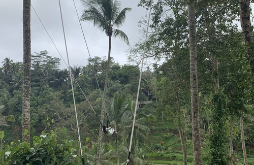 Bangli Maison | ubud tour and waterfall