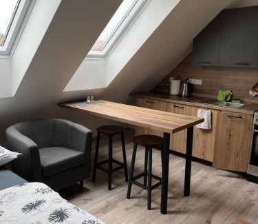Zlonice Appartement | Ubytování 1kk ve Zlonicích