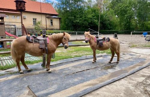 Kladruby Appartement | Ubytování na farmě