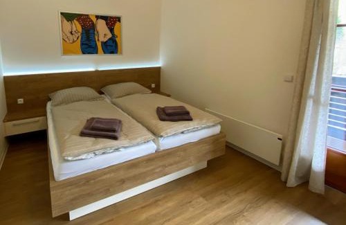 Velke Karlovice Appartement | Ubytování Polanský Dvůr