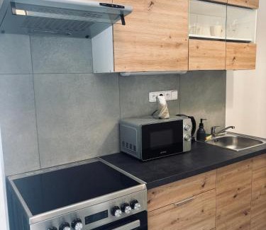 Usti nad Labem Maison | Ubytování Stará