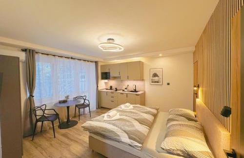 Brno Maison | Ubytování v Brně - Schodová