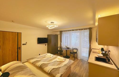 Brno Maison | Ubytování v Brně - Schodová