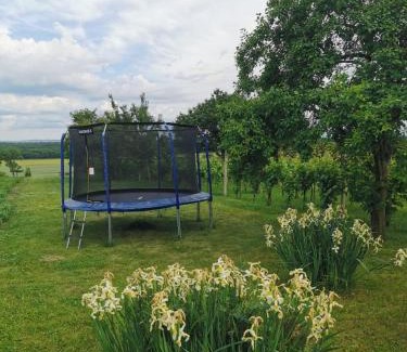 Tvrdonice Maison | Ubytování v soukromí u Jarušky na Moravě