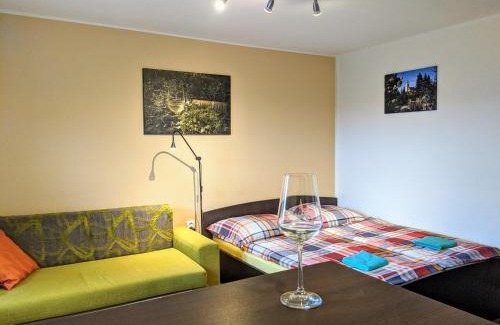 Uherske Hradiste Appartement | Ubytování ve Vinařství Medek | Medek House & Winery
