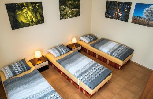 Uherske Hradiste Appartement | Ubytování ve Vinařství Medek | Medek House & Winery