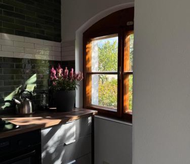 Velke Bilovice Appartement | Ubytování ve vinném sklepě - Velké Bílovice