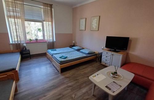 Bohumin Appartement | Ubytovaní U Dvora