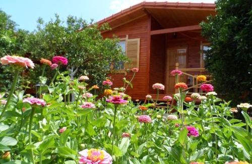 Cirali Maison | Ugur Pansiyon Bungalows