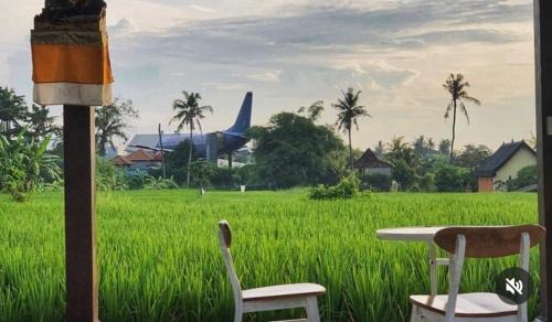 Medahan Maison | Uma Menuh Surf House