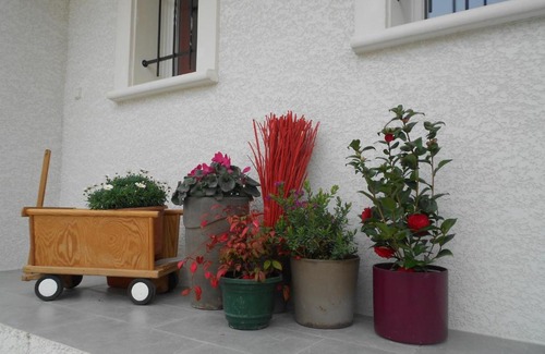 Villepinte Maison | Un bouquet de Tangissart