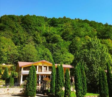 Lunca Jaristei Cabine | Un colț de Rai