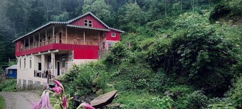 Lebong and Mineral Spring Tea Garden Maison | Uncharted Retreats Nomee Homestay