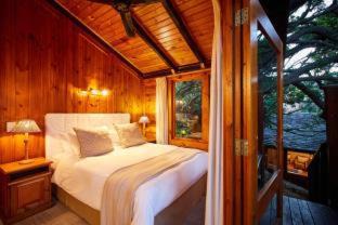 Knysna Station Balnéaire | Under Milkwood Resort