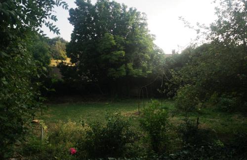 Saint-Pons-de-Thomieres Maison | Une chambre au jardin
