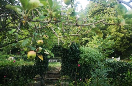 Saint-Pons-de-Thomieres Maison | Une chambre au jardin