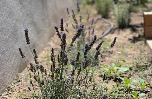 Puyvert Maison | Une nuit en Luberon