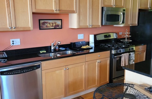 Bronzeville Maison | Unique and Chic home. rooftop deck, near lakefront. Easy commute to downtown.