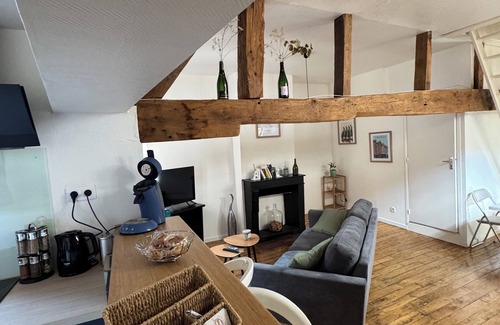 Old Town Appartement | Unique apartment in the historic heart of Troyes - Ruelle des chats/rue Champeaux