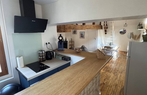 Old Town Appartement | Unique apartment in the historic heart of Troyes - Ruelle des chats/rue Champeaux