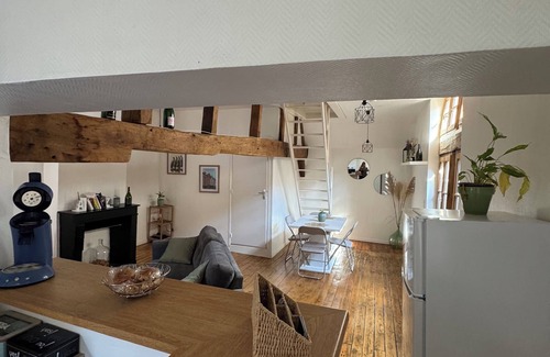 Old Town Appartement | Unique apartment in the historic heart of Troyes - Ruelle des chats/rue Champeaux