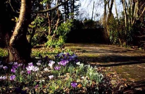 Auchterarder Maison | Unique Arts & Crafts Home in Auchterarder