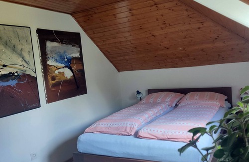 Zlin Maison | Unique attic with garden, library, bathtub, wifi & free parking