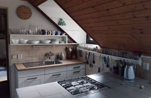 Zlin Maison | Unique attic with garden, library, bathtub, wifi & free parking