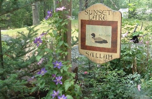 Alton Bay Cottage | Unique, charmante maison d'hôtes de charme au Sunset Lake