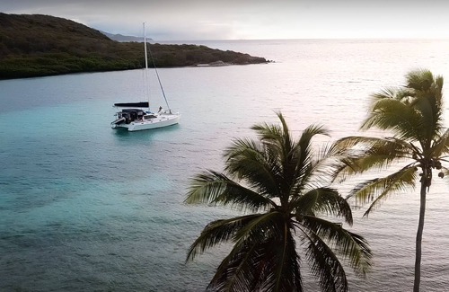 Mount Pleasant Bay Location De Bateaux | Unique experience in a unique environment