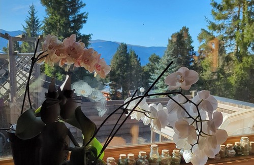 Bolquere Chalet De Ski | Chalet de caractère en rondins bruts - Xalet del mestre