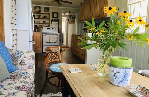 Havelock-Belmont-Methuen Cottage | Unique Little Island Cottage Getaway with Stunning Views.
