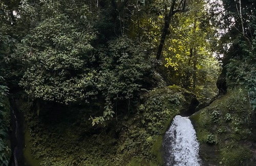 Monterrey Cabine | Unique romantic cabin with hot tub surrounded by forest (ideal for couples)