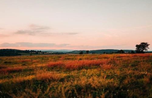 Cambra Maison | Unique Stay! Ricketts Chic Farmhouse Retreat with Stargazing Bubble Tent