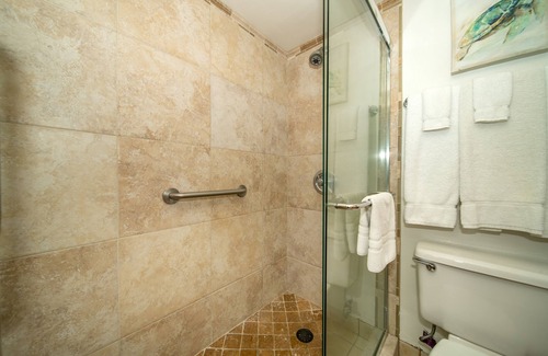 Kahana Appartement | Unit #205 Studio Ocean View at Royal Kahana Maui