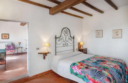 Dicomano Maison | Universal Harmony - Cardellino