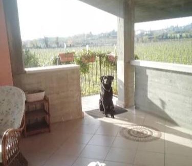 Pedemonte Appartement | Uno sguardo sulla Valpolicella