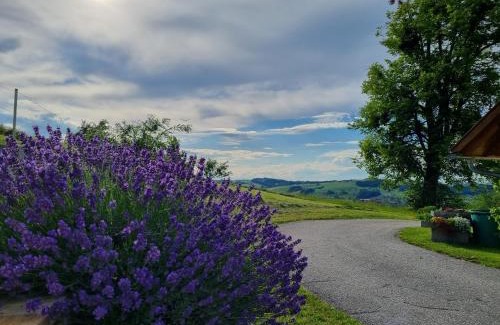 Steinbach an der Steyr Appartement | Unterbrandlberg