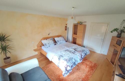 Dellach im Drautal Appartement | Unterm Nussbaum 2