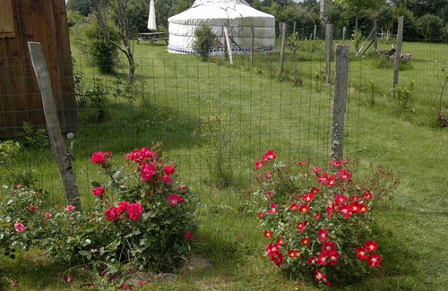 Valliere Cabine | Unusual accommodation in the Creuse Mongolian yurt