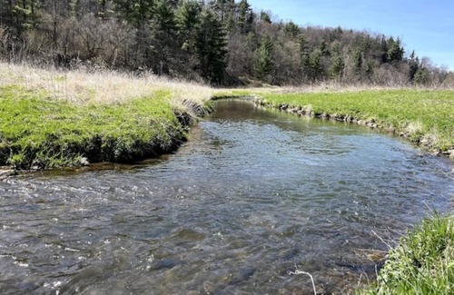 Muscoda Cabine | Unwind at Driftless Pines - NEW