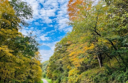 Muscoda Cabine | Unwind at Driftless Pines - NEW