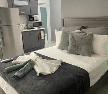 Eleanor Roosevelt Appartement | Urban Lodgings One @ Roosevelt 457