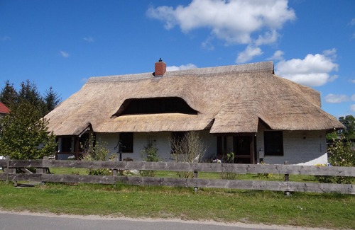 Wiethagen Appartement | Urlaub mit dem Haustier im Wald