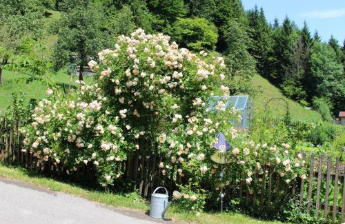 Scheibbs Appartement | Urlaub mitten im Wald - Lueg