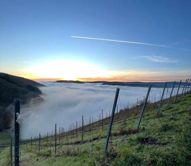 Schoden Appartement | Urlaub-WeinhofHerrenberg 1