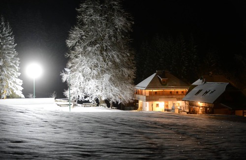 Agsdorf Maison | Urlaubsalm Kreuth 6 - Alm hut total Enzian (8pax)