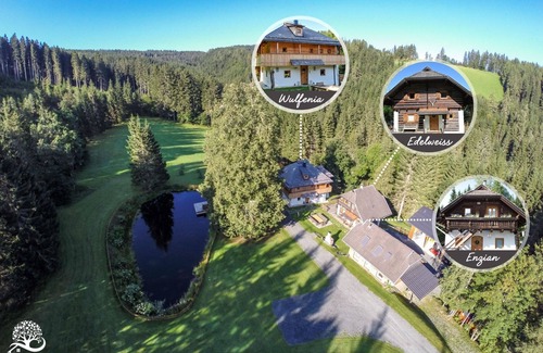 Agsdorf Maison | Urlaubsalm Kreuth 6 - Alm hut total Enzian (8pax)