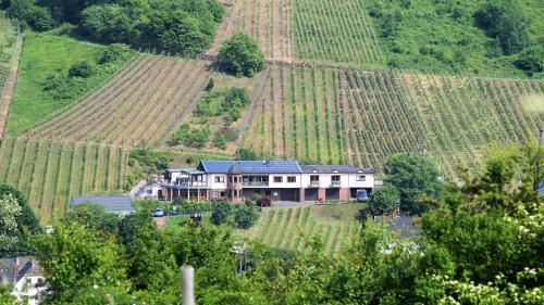 Neef Appartement | Urlaubsweingut Zecherhof