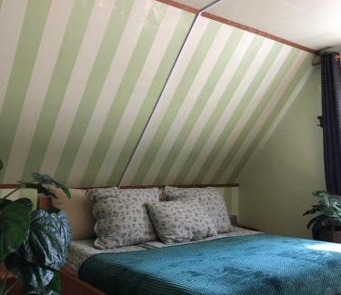 Szanazug Appartement | Váradi Vendégház